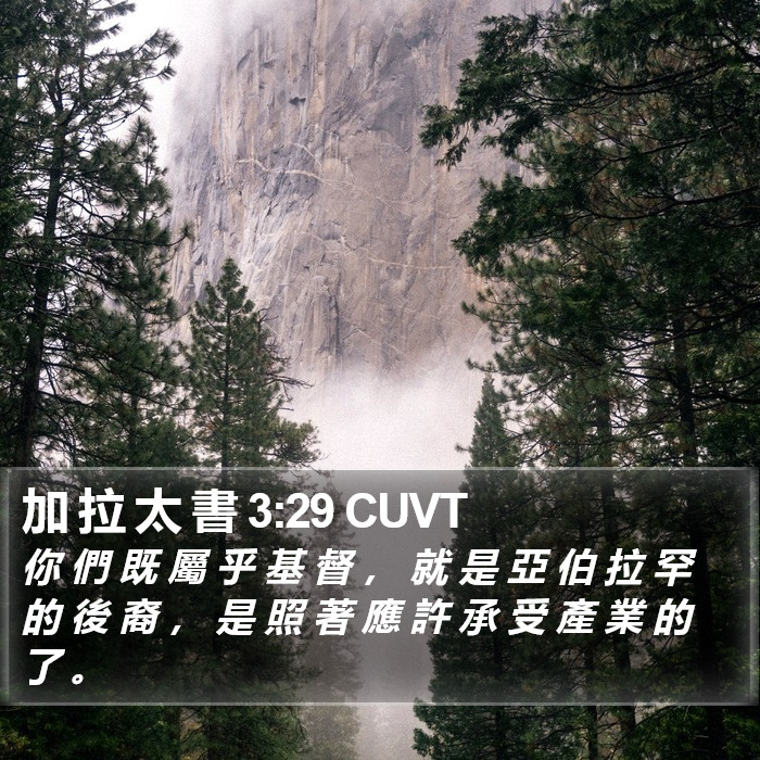 加 拉 太 書 3:29 CUVT Bible Study