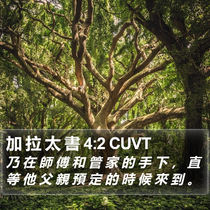 加 拉 太 書 4:2 CUVT Bible Study