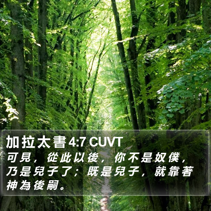 加 拉 太 書 4:7 CUVT Bible Study