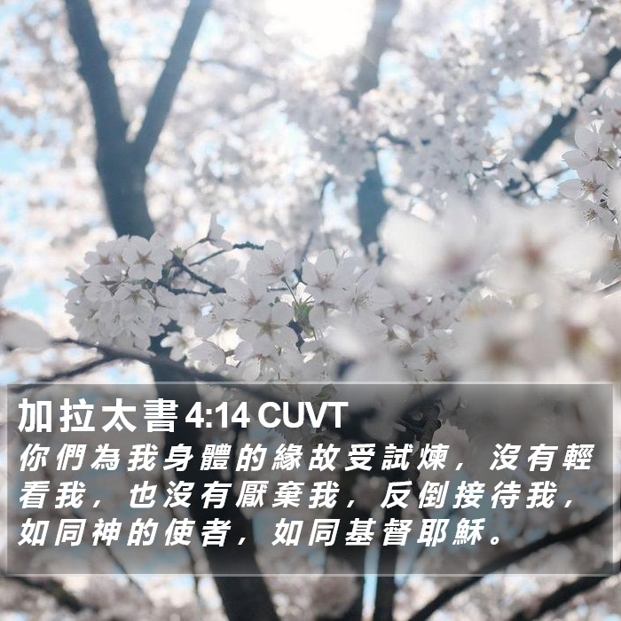 加 拉 太 書 4:14 CUVT Bible Study