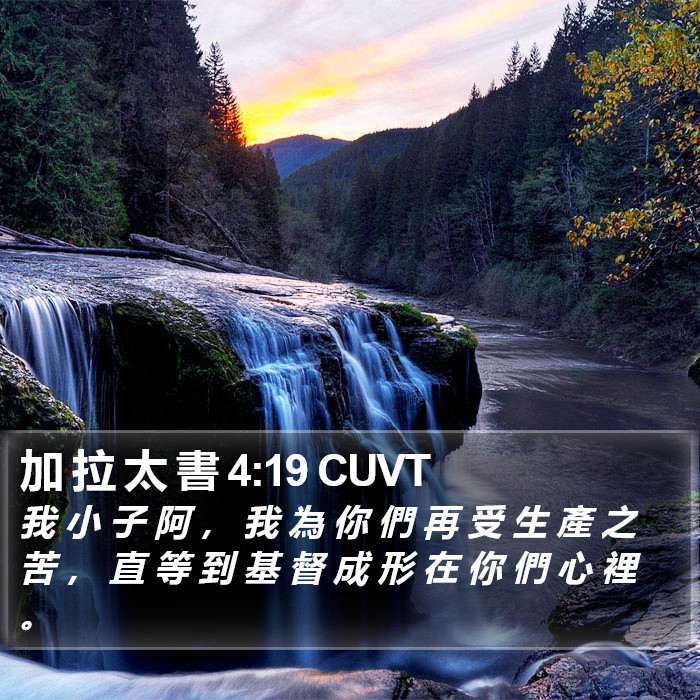 加 拉 太 書 4:19 CUVT Bible Study