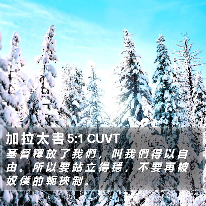 加 拉 太 書 5:1 CUVT Bible Study