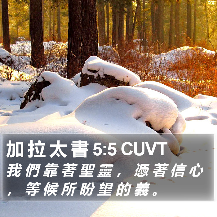 加 拉 太 書 5:5 CUVT Bible Study