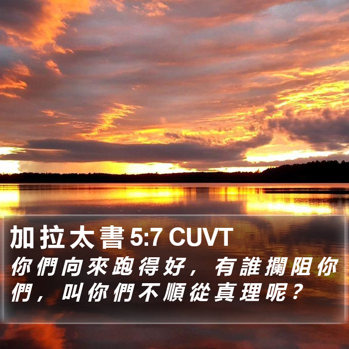 加 拉 太 書 5:7 CUVT Bible Study