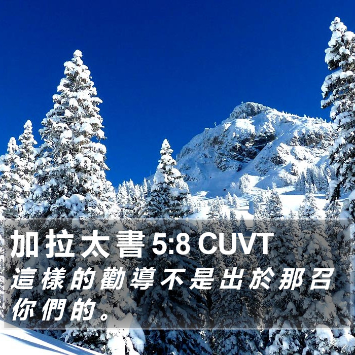 加 拉 太 書 5:8 CUVT Bible Study