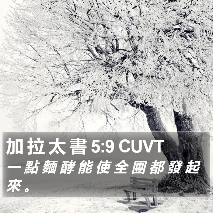 加 拉 太 書 5:9 CUVT Bible Study