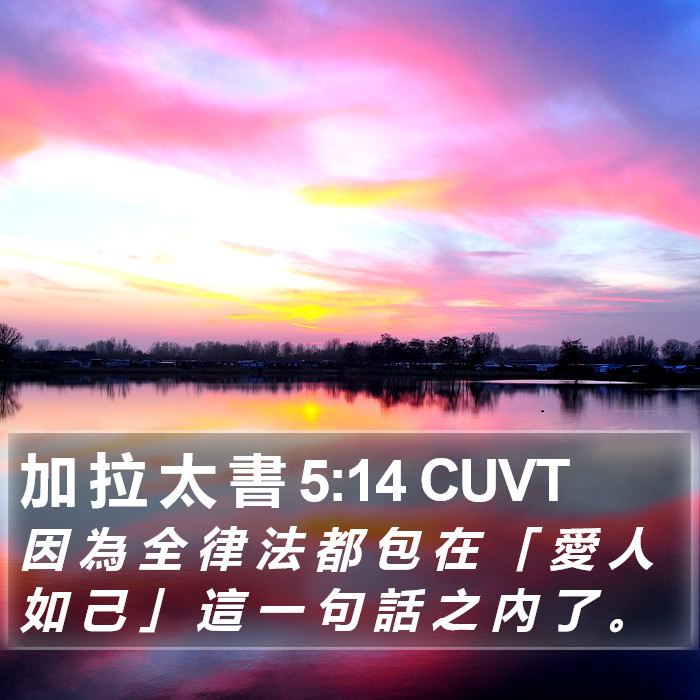 加 拉 太 書 5:14 CUVT Bible Study