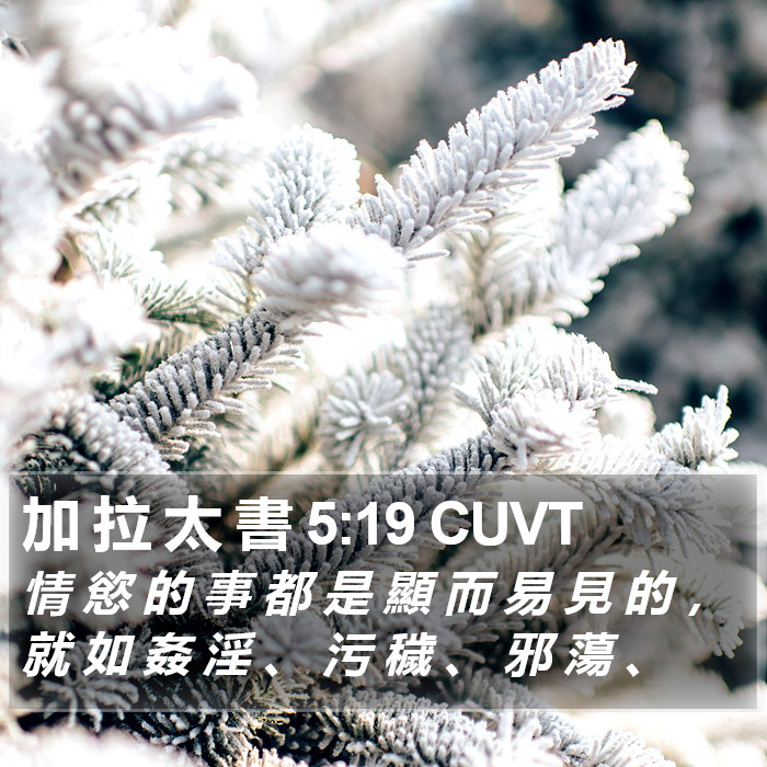 加 拉 太 書 5:19 CUVT Bible Study