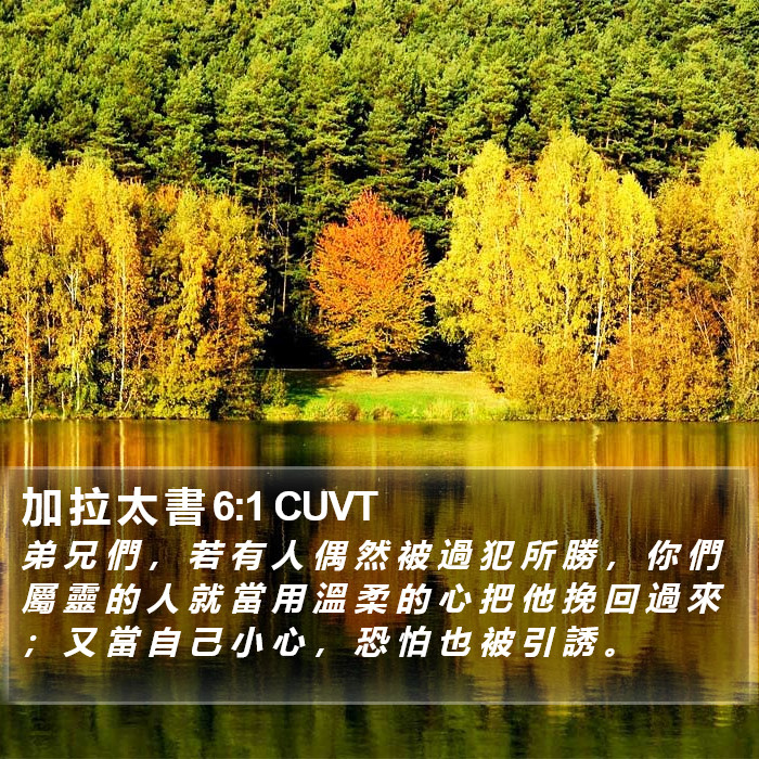 加 拉 太 書 6:1 CUVT Bible Study