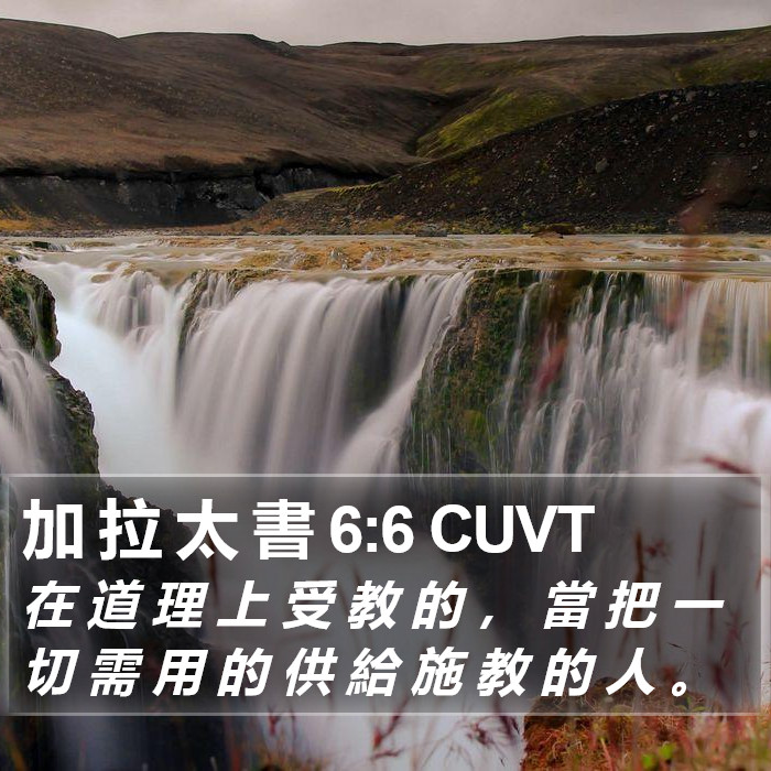 加 拉 太 書 6:6 CUVT Bible Study