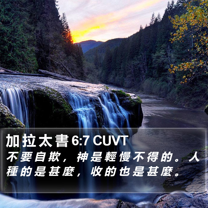 加 拉 太 書 6:7 CUVT Bible Study