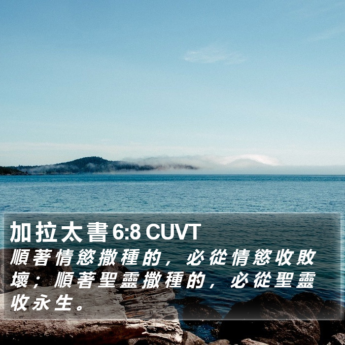 加 拉 太 書 6:8 CUVT Bible Study
