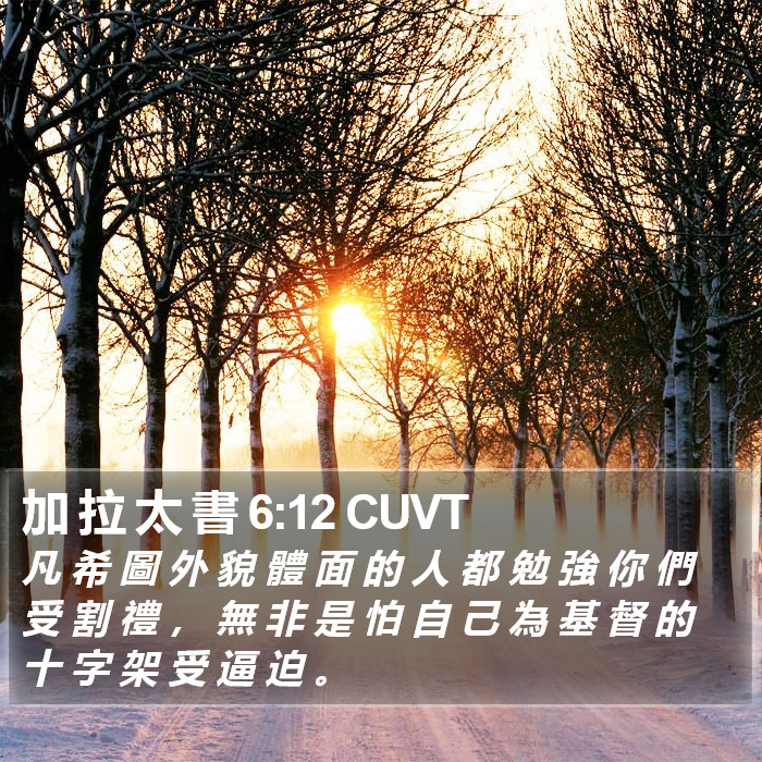 加 拉 太 書 6:12 CUVT Bible Study