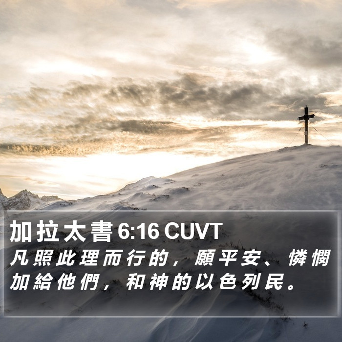 加 拉 太 書 6:16 CUVT Bible Study
