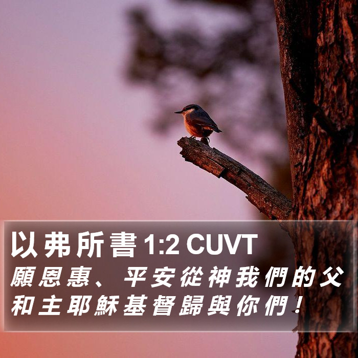 以 弗 所 書 1:2 CUVT Bible Study