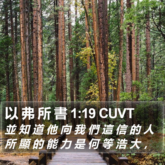 以 弗 所 書 1:19 CUVT Bible Study