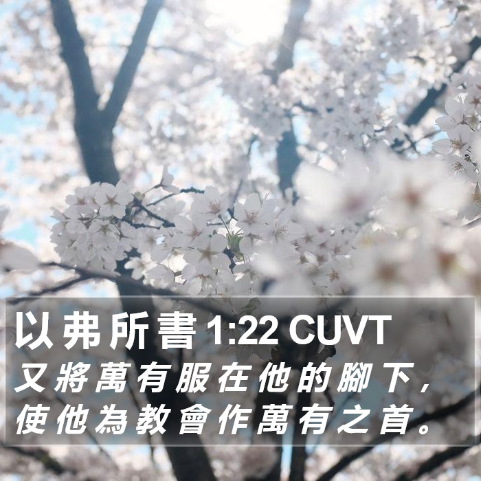 以 弗 所 書 1:22 CUVT Bible Study