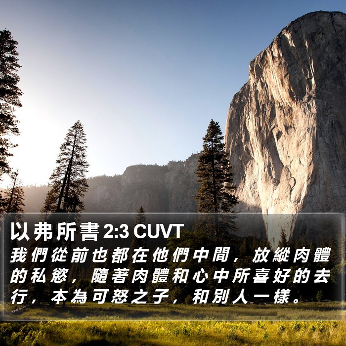 以 弗 所 書 2:3 CUVT Bible Study