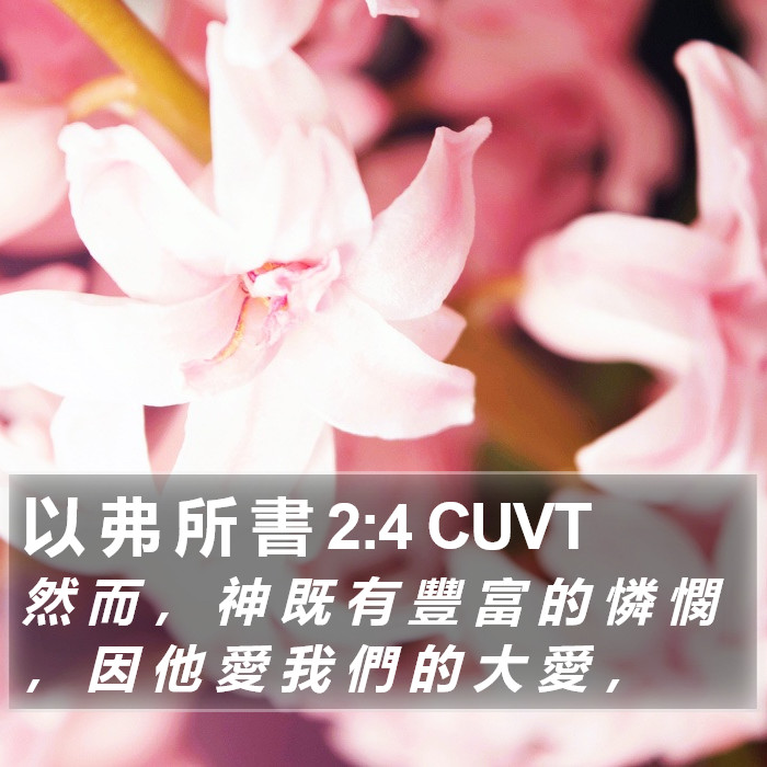 以 弗 所 書 2:4 CUVT Bible Study