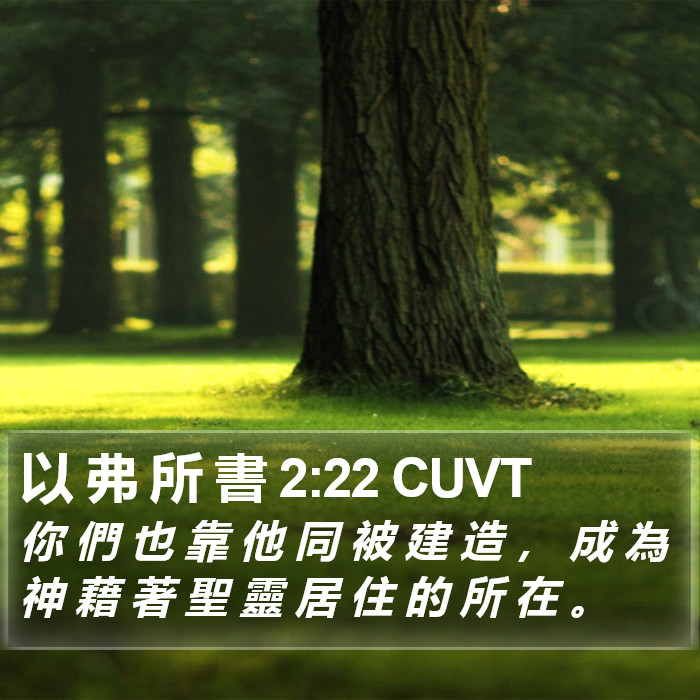 以 弗 所 書 2:22 CUVT Bible Study
