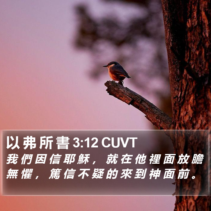 以 弗 所 書 3:12 CUVT Bible Study