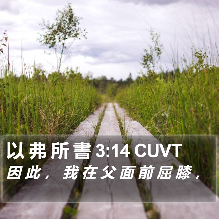 以 弗 所 書 3:14 CUVT Bible Study