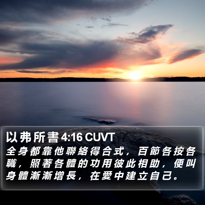 以 弗 所 書 4:16 CUVT Bible Study