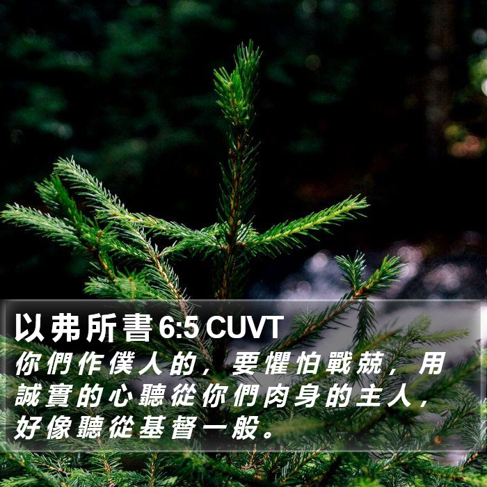 以 弗 所 書 6:5 CUVT Bible Study