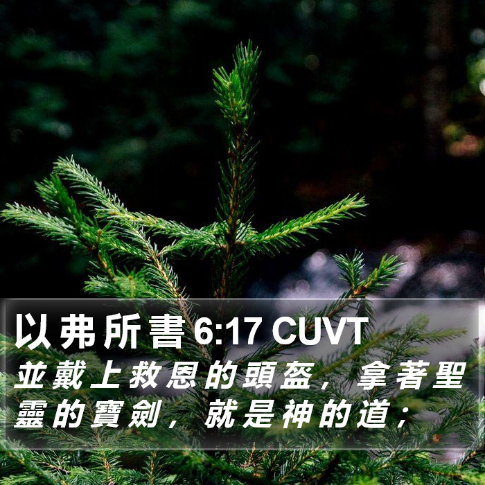 以 弗 所 書 6:17 CUVT Bible Study