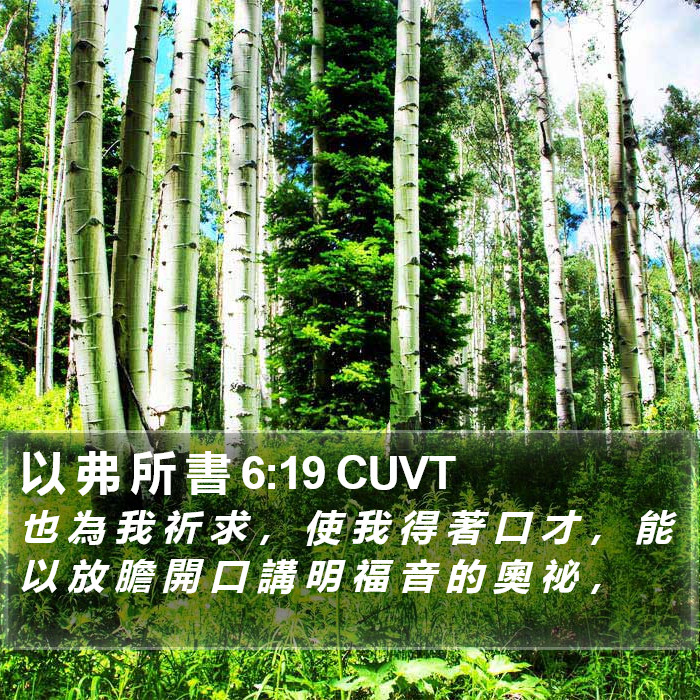 以 弗 所 書 6:19 CUVT Bible Study
