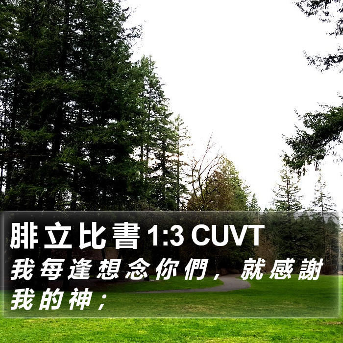 腓 立 比 書 1:3 CUVT Bible Study