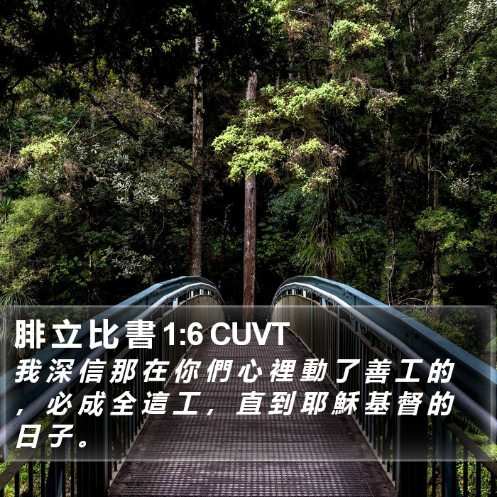 腓 立 比 書 1:6 CUVT Bible Study