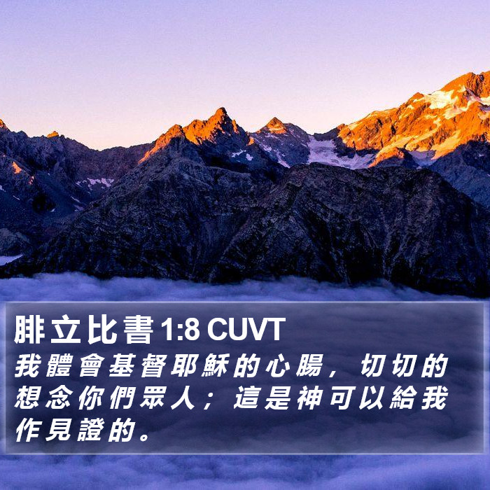 腓 立 比 書 1:8 CUVT Bible Study