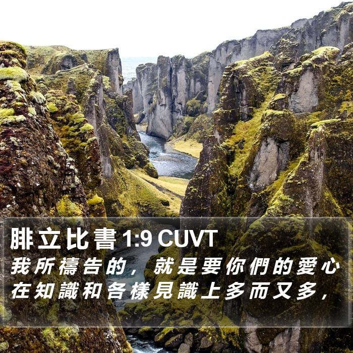 腓 立 比 書 1:9 CUVT Bible Study