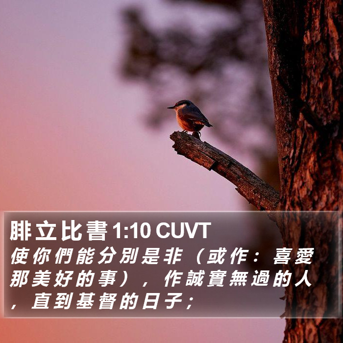 腓 立 比 書 1:10 CUVT Bible Study