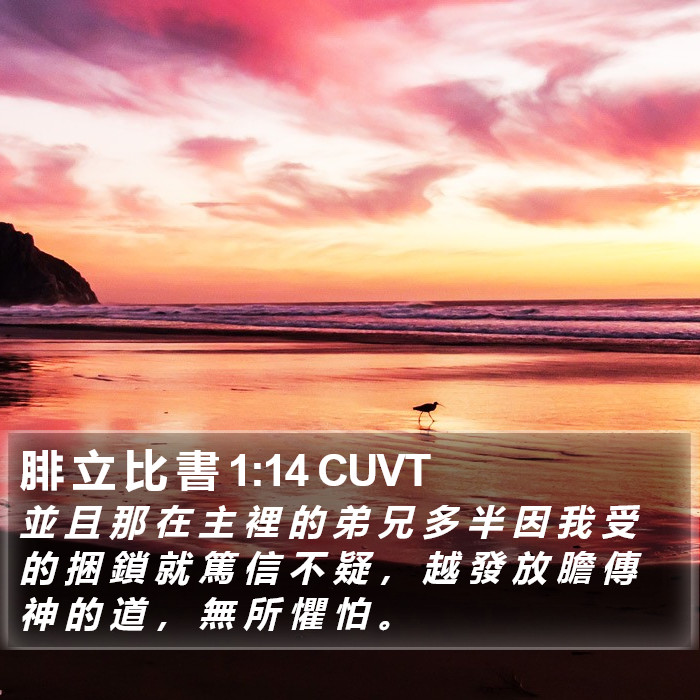 腓 立 比 書 1:14 CUVT Bible Study