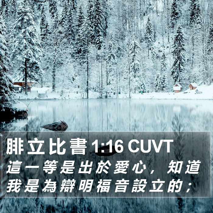 腓 立 比 書 1:16 CUVT Bible Study