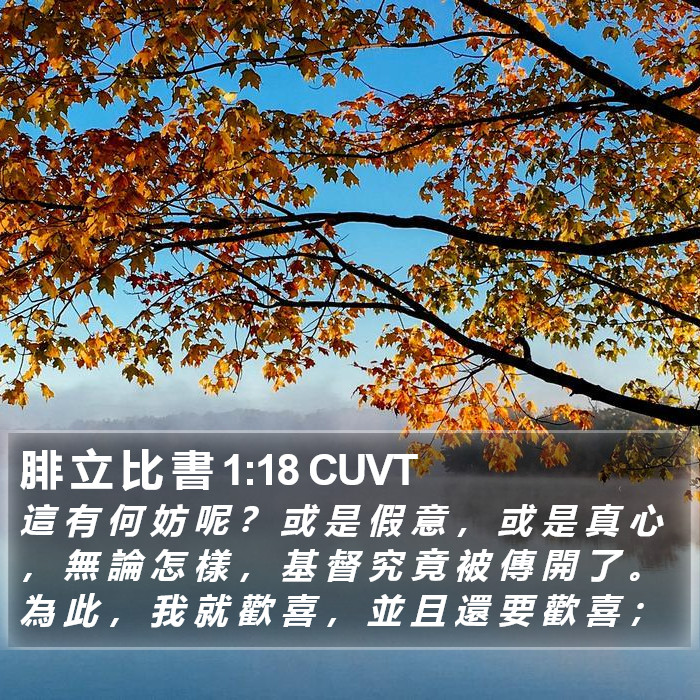 腓 立 比 書 1:18 CUVT Bible Study