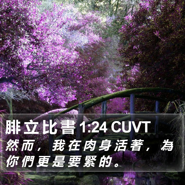 腓 立 比 書 1:24 CUVT Bible Study