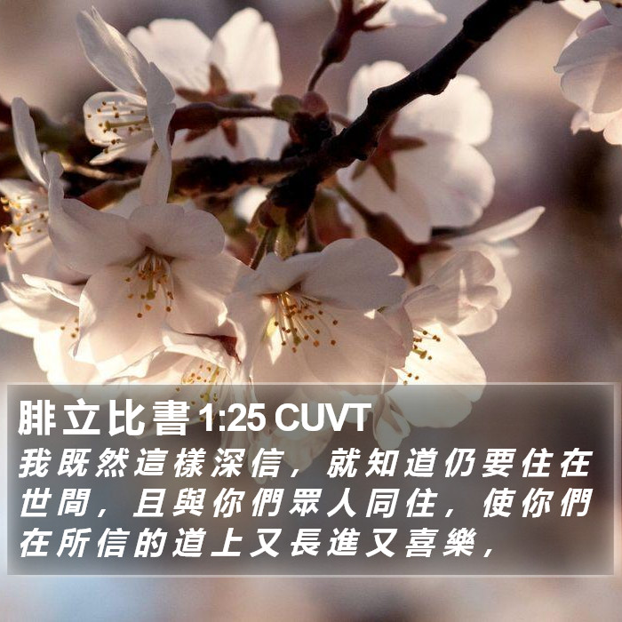 腓 立 比 書 1:25 CUVT Bible Study