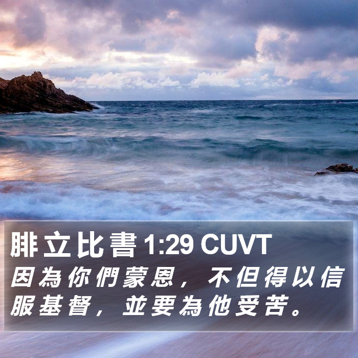 腓 立 比 書 1:29 CUVT Bible Study