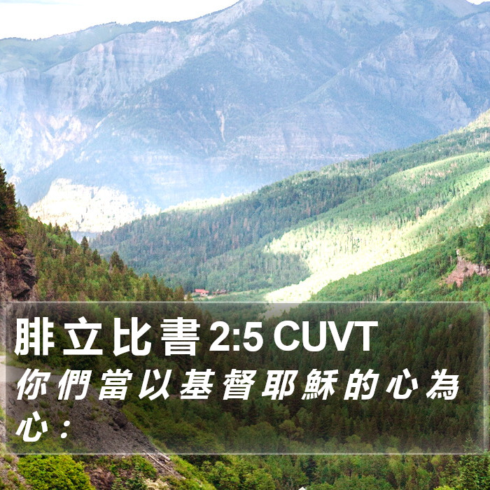 腓 立 比 書 2:5 CUVT Bible Study