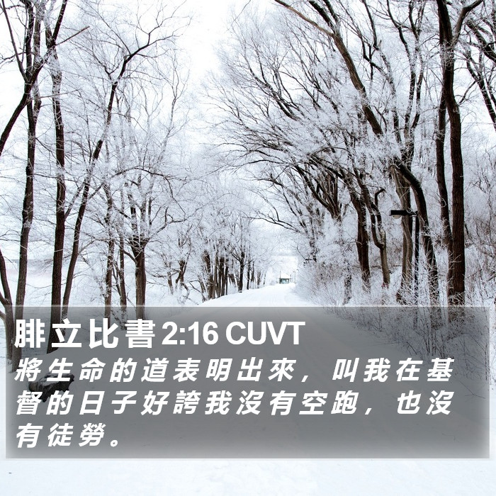 腓 立 比 書 2:16 CUVT Bible Study