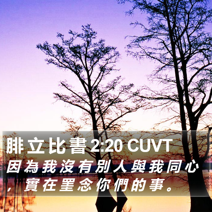 腓 立 比 書 2:20 CUVT Bible Study