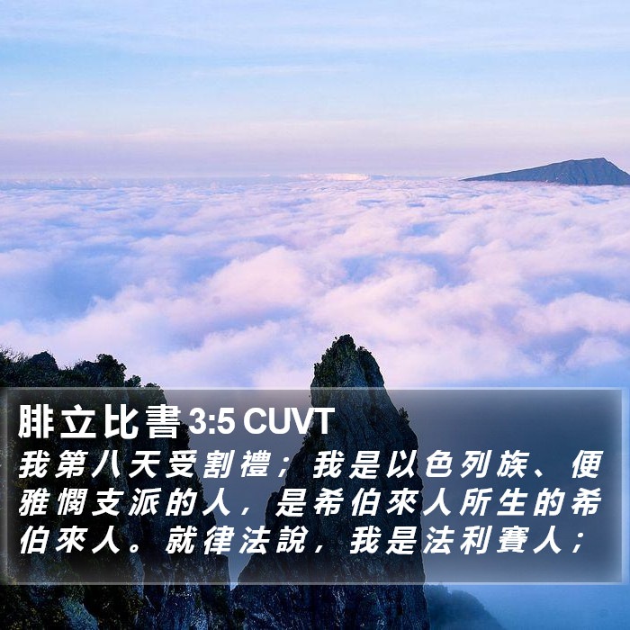 腓 立 比 書 3:5 CUVT Bible Study
