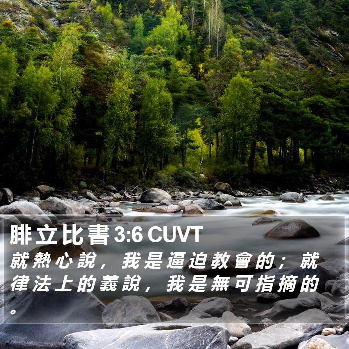 腓 立 比 書 3:6 CUVT Bible Study