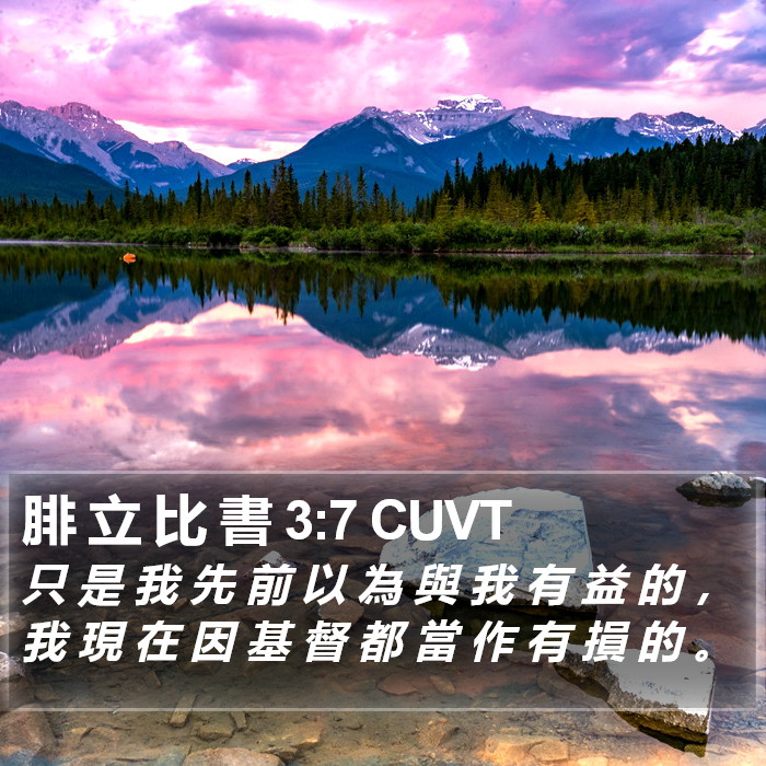 腓 立 比 書 3:7 CUVT Bible Study