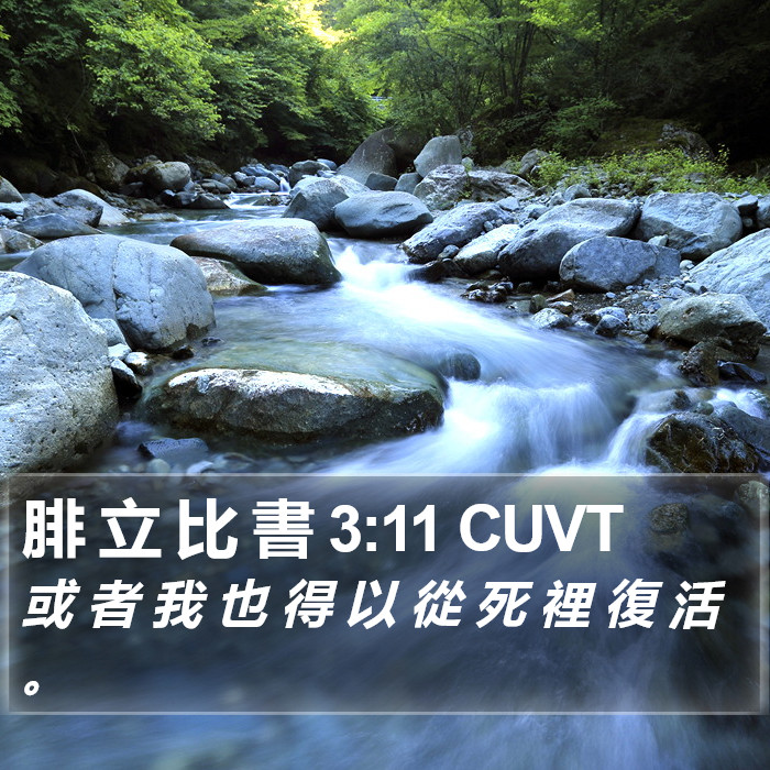 腓 立 比 書 3:11 CUVT Bible Study