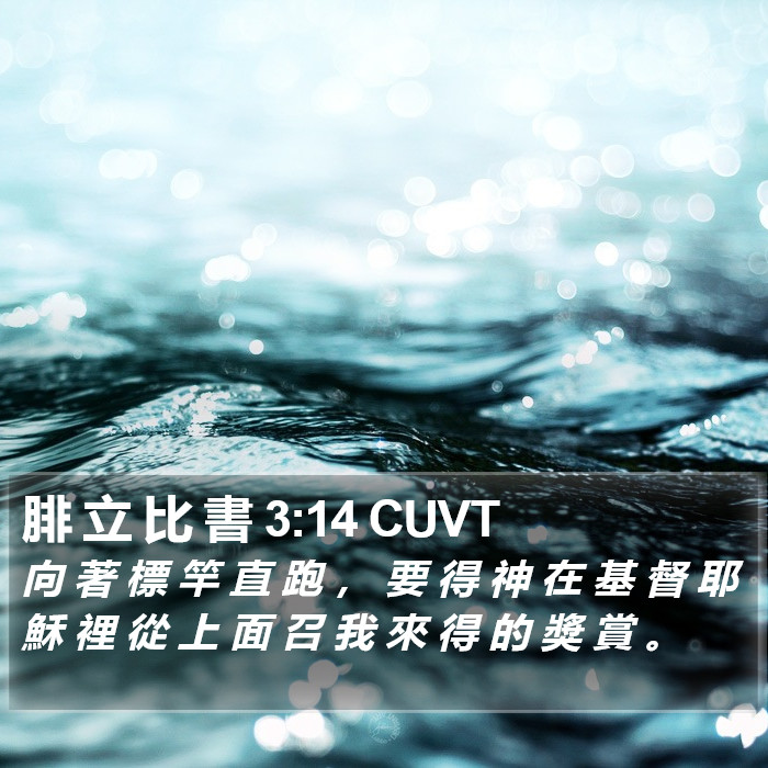 腓 立 比 書 3:14 CUVT Bible Study