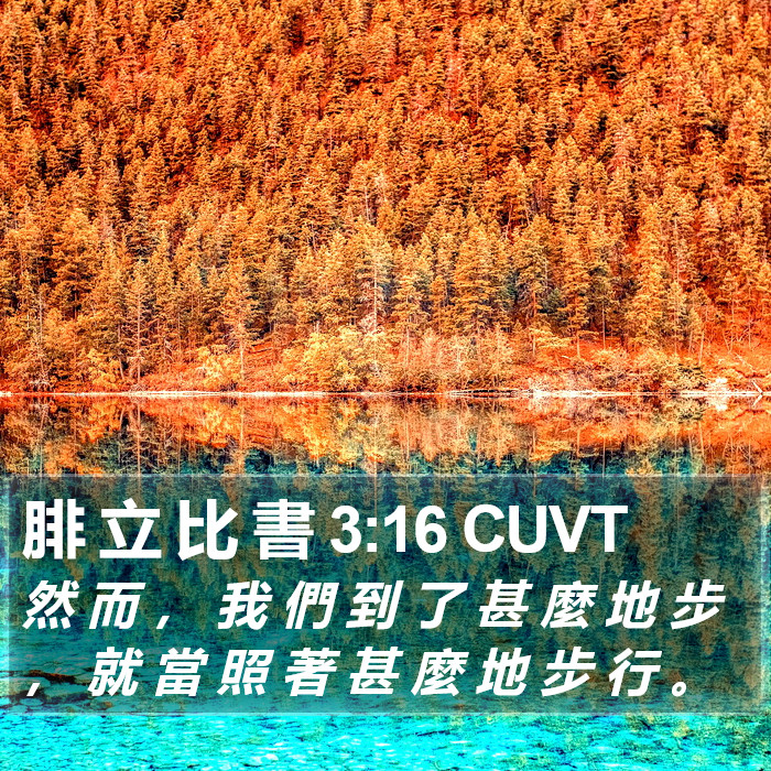 腓 立 比 書 3:16 CUVT Bible Study